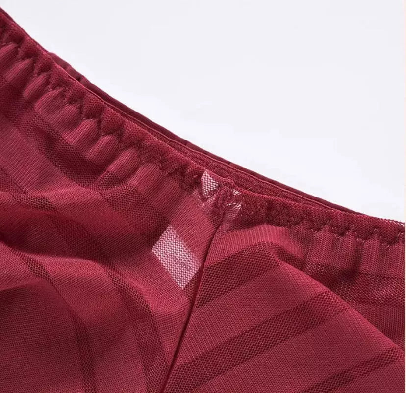 Detalhe calcinha vermelha com renda e mesh transparente - lingerie feminina