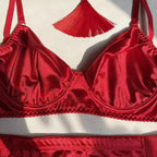 lingeries sensuais, lingeries de luxo, lingerie vermelho, lingerie sexy, lingerie sensual, lingerie feminina, lingerie de luxo, conjunto lingerie sexy, conjunto lingerie femininas, conjunto de lingerie